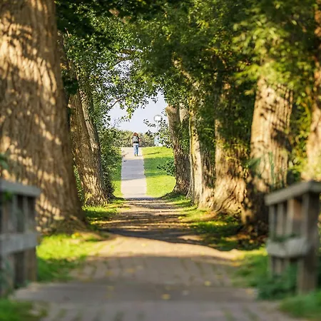 Achterndieck - Modernes 5-sterne Erdgeschoss-apartment Mit Balkon
